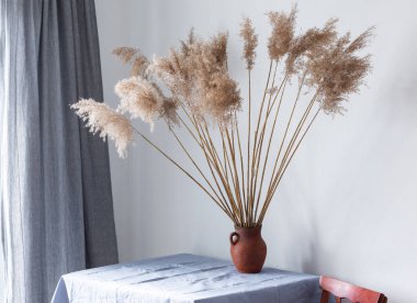 Kil sürahide kuru kamış kamışı