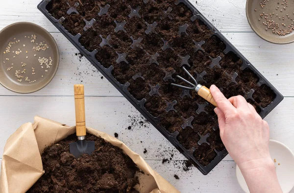 Bahçıvan tohum ekmek için toprağı hazırlar.