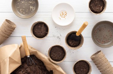 Beyaz ahşap bir arka planda fidanlar için çevre dostu tencereler, içinde tırmık ve bahçe malası olan küçük bir çanta, tek kullanımlık bezelye saksılarına tohum ekme