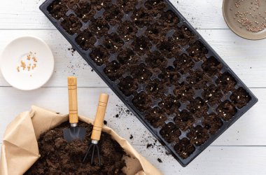 Beyaz ahşap zemin üzerinde fidanlar için özel plastik kalıp, küçük bir çanta içinde tırmık ve bahçe malası, çömleklere tohum ekme