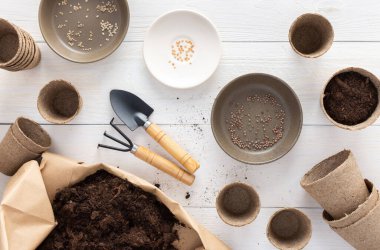 Beyaz ahşap bir arka planda fidanlar için çevre dostu tencereler, içinde tırmık ve bahçe malası olan küçük bir çanta, tek kullanımlık bezelye saksılarına tohum ekme