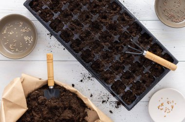 Beyaz ahşap zemin üzerinde fidanlar için özel plastik kalıp, küçük bir çanta içinde tırmık ve bahçe malası, çömleklere tohum ekme