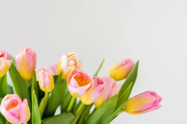 Güzel bir bahar buketi pembe laleler yakın, bayram çiçeği hediyesi