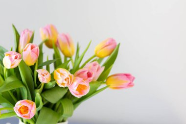 Güzel bir bahar buketi pembe laleler kapanıyor, çiçekler evin içinde.