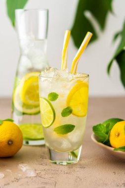 Kamışlı soğuk, ferahlatıcı bir limonata dilimlenmiş limon ve limon dilimleri, nane yaprakları ve buzlu soğuk su, arka planda canavar çiçeği.