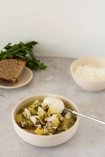 Piept de pui și supă de sorrel — Fotografie, imagine de stoc