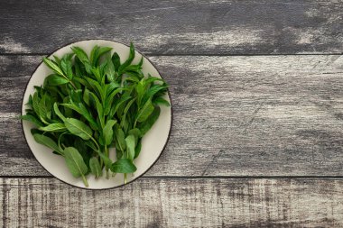 Taze yeşil nane tohumu bir tabakta yakın plan ahşap arka plan, üst görüş, kopyalama alanı