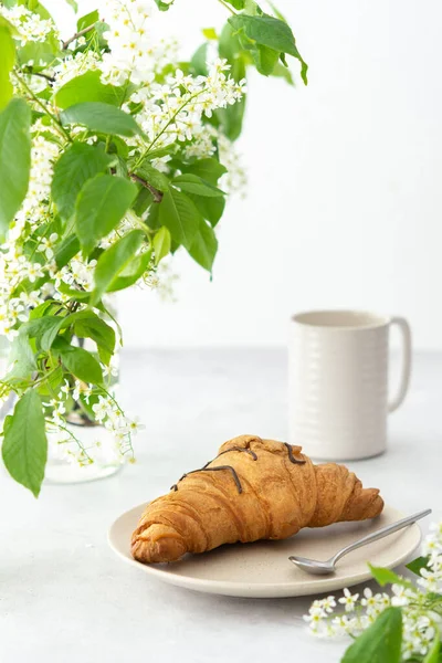 Chocolate Croissant Close Plate Mug Coffee Delicious Breakfast Branches Blooming — Stock Photo, Image