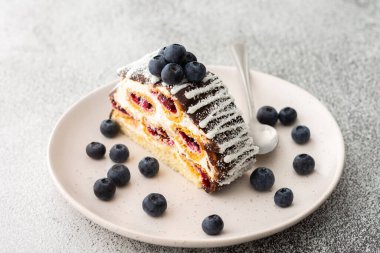 Çikolatayla doldurulmuş bir dilim pasta ve üzerine de yaban mersini serpiştirilmiş hindistan cevizi.