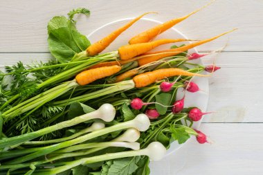 Taze toplanmış taze turplar, yeşil başlıklı havuçlar ve yeşil soğanlar beyaz ahşap bir zemin üzerinde tahtada, sebze bahçesinden organik ürünler.