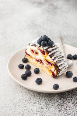 Çikolatayla doldurulmuş bir dilim pasta ve üzerine de yaban mersini serpiştirilmiş hindistan cevizi.