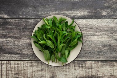 Taze yeşil nane tohumu bir tabakta yakın plan ahşap arka plan, üst görüş, kopyalama alanı