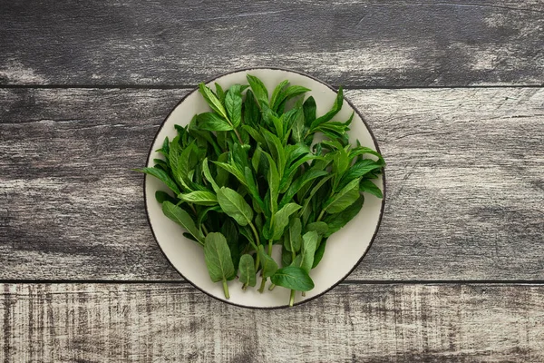 Taze yeşil nane tohumu bir tabakta yakın plan ahşap arka plan, üst görüş, kopyalama alanı