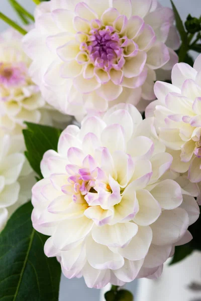 stock image Beautiful autumn bouquet of spherical dahlias in a vase against a background of a gray wall