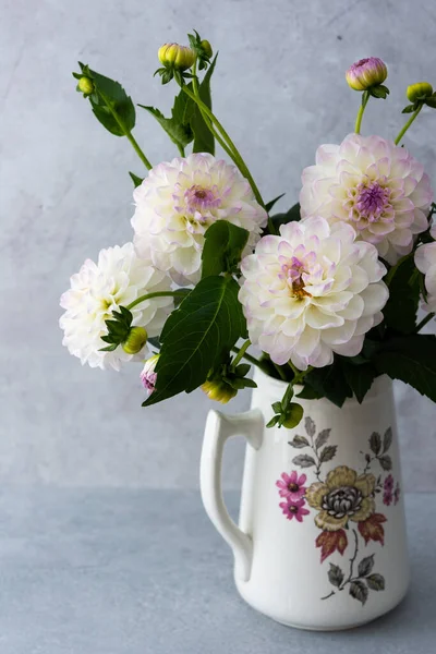 Küresel yıldız çiçeklerinin güzel sonbahar buketi bir masanın üzerindeki vazoda gri bir duvarın arka planında.
