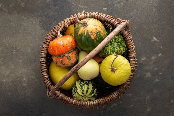 Yeşil arka plan, üst görünüm, sonbahar arkaplan, kopyalama alanı üzerinde hasır sepette dekoratif ve yenilebilir balkabakları