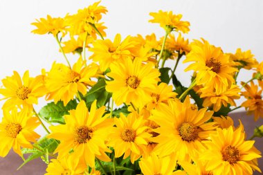 A bouquet of vibrant yellow flowers stands tall against a plain white background, showcasing their bright petals and lush green leaves, perfect for adding joy to any space