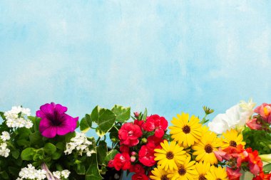 Vibrant spring flowers in various colors adorn a balcony, creating a joyful atmosphere. Seasonal blooms bring life and beauty to the outdoor space, inviting relaxation and enjoyment.