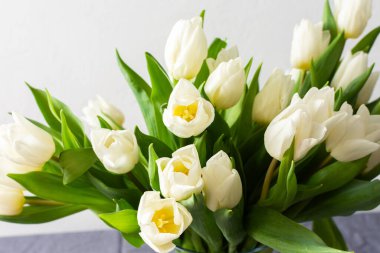 Beyaz lalelerden oluşan canlı bir buket içeren büyüleyici bir ev. Baharın tazeliğini sembolize ediyor ve rahat ve huzurlu yaşam alanını genişletiyor.