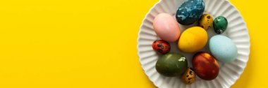 Beyaz tabakta çeşitli renklerde canlı Paskalya yumurtaları var. Güneşli sarı bir zemin üzerine yerleştirilmiş. Şenlikli bir bahar buluşması için mükemmel bir pankart.