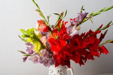 Bir vazo kırmızı ve beyaz çiçekleri de içeren çeşitli renkli gladyatörler barındırır. Düzenleme temiz bir yüzeyde duruyor, kapalı alanlara doğanın dokunuşunu ekliyor.