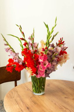 Bir vazo kırmızı ve beyaz çiçekleri de içeren çeşitli renkli gladyatörler barındırır. Düzenleme temiz bir yüzeyde duruyor, kapalı alanlara doğanın dokunuşunu ekliyor.