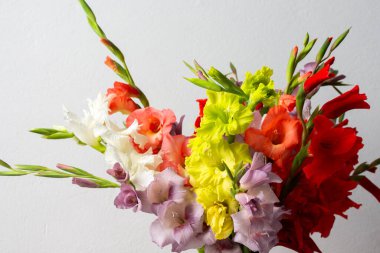 Bir vazo kırmızı ve beyaz çiçekleri de içeren çeşitli renkli gladyatörler barındırır. Düzenleme temiz bir yüzeyde duruyor, kapalı alanlara doğanın dokunuşunu ekliyor.