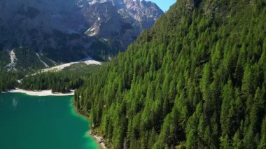 Güneşli bir dağ yamacında, verimli bir kozalaklı kozalaklı ormanın yakınındaki turkuaz alp gölünün havadan görünüşü.