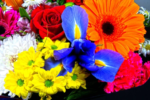 Colourful Bunch Mixed Flowers Closeup Australia — Stock Photo, Image