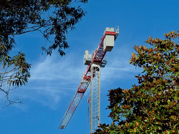 Května2021 Věžový Jeřáb Bílým Cirrus Mrakem Modré Obloze Zelené Větve — Stock fotografie
