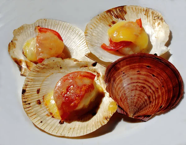 Gegrilde Sappige Verse Sint Jakobsschelpen Bedekt Met Tomaat Kaas Geserveerd — Stockfoto