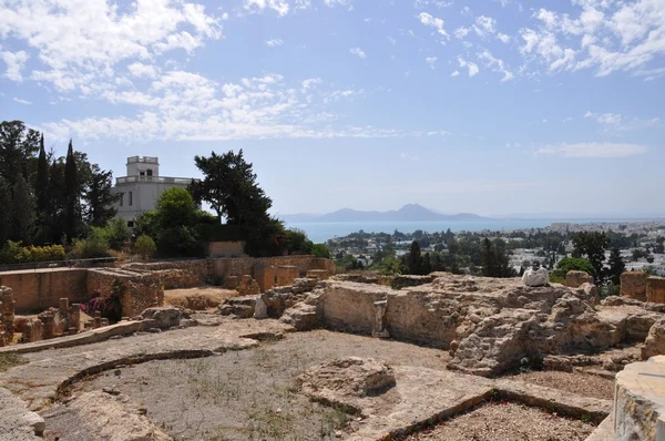 Ruiny starego Carthage w Tunezji — Zdjęcie stockowe