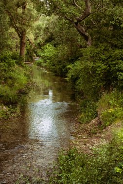 Yaz ve tatil. Deniz kenarındaki güzel doğa, güzel hava ve parlak güneş.. 