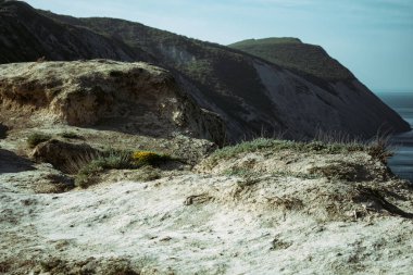 Yaz ve tatil. Deniz kenarındaki güzel doğa, güzel hava ve parlak güneş.. 
