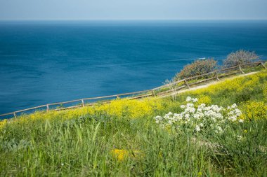 Yaz ve tatil. Deniz kenarındaki güzel doğa, güzel hava ve parlak güneş.. 