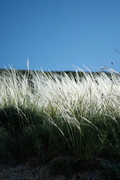 Sommar Och Semester Vacker Natur Vid Havet Bra Väder Och — Stockfoto