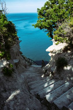 Yaz ve tatil. Deniz kenarındaki güzel doğa, güzel hava ve parlak güneş.. 