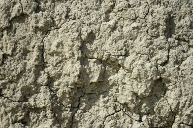 Yaz ve tatil. Deniz kenarındaki güzel doğa, güzel hava ve parlak güneş.. 