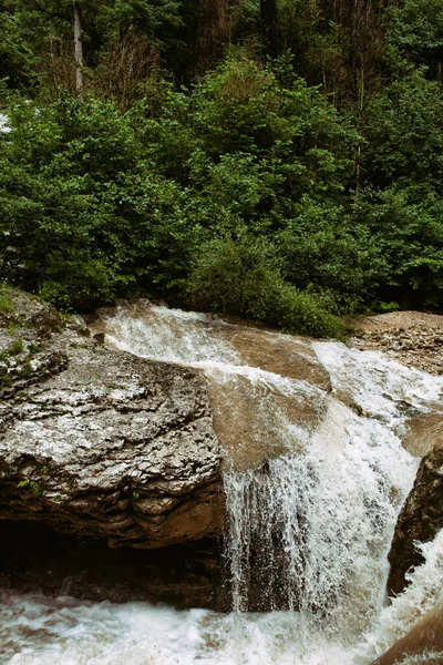 Regnig Morgon Skogen Semester Bergen — Stockfoto