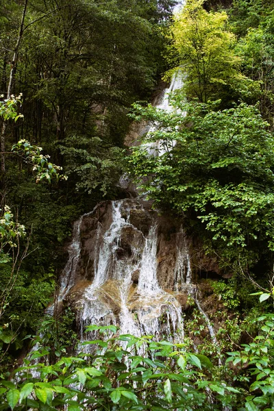 Regnig Morgon Skogen Semester Bergen — Stockfoto