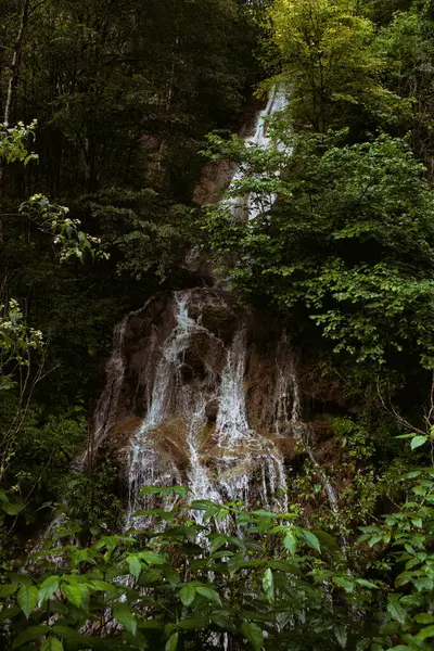 Regnig Morgon Skogen Semester Bergen — Stockfoto