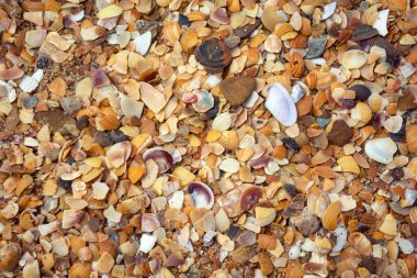 Yaz ve tatil. İnsansız denizde rahatla..