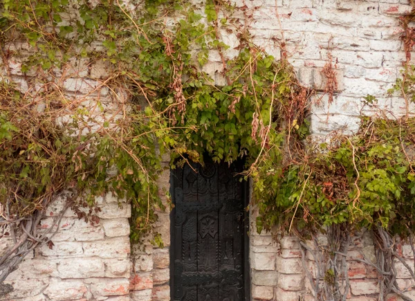 Antigua Pared Piedra Con Puerta Metálica Rodeada Plantas Hiedra — Foto de Stock