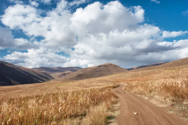 Road across wheat field in mountains — Stock Photo, Image