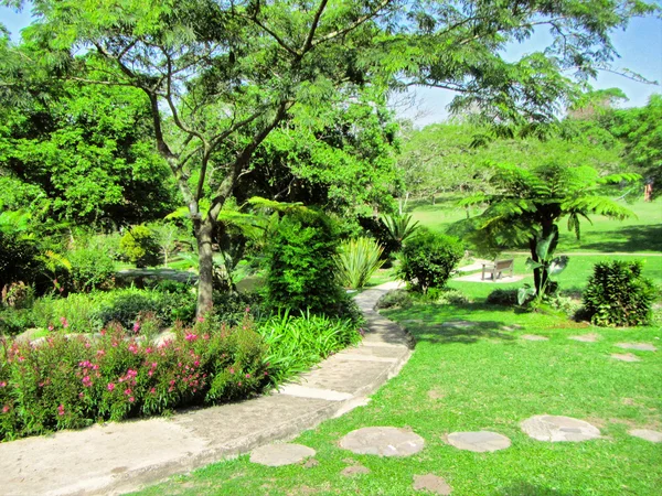 Caminho no parque tropical — Fotografia de Stock