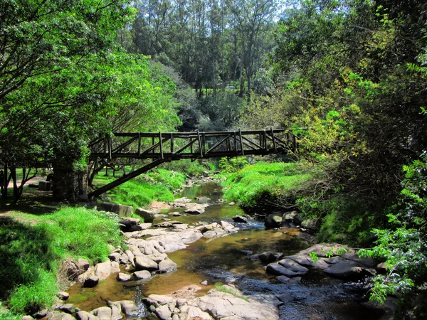 Puente sobre un pequeño río — Foto de Stock