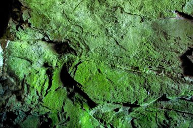 Yeşil mağara duvar - doku