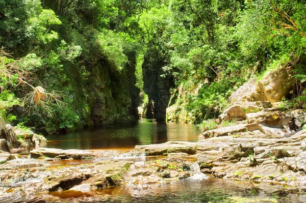 Green canyon with tea-water river — Stock Photo, Image