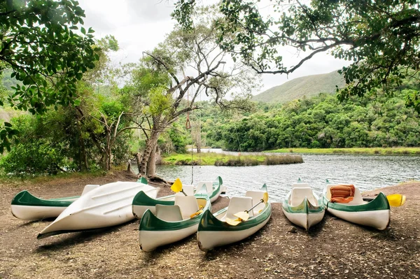 Grupo de barcos em terra — Fotografia de Stock