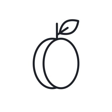 Kayısı ya da erik ikonu. Vektör doğrusal simgesi, kontur, şekil, beyaz arkaplan üzerinde izole edilmiş dış hat. İnce çizgi. Modern minimalist tasarım. Meyveler.